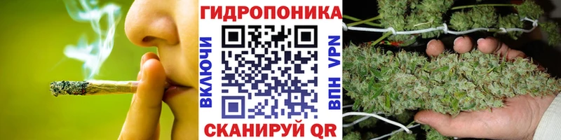 Codein Тавда