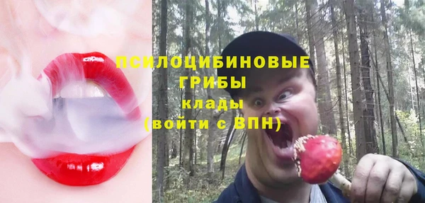 кокс Инсар
