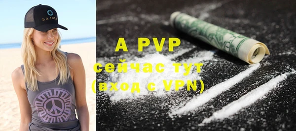гидра Иннополис