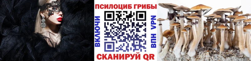 МЕГА ONION  Тавда  Галлюциногенные грибы мицелий  закладка 