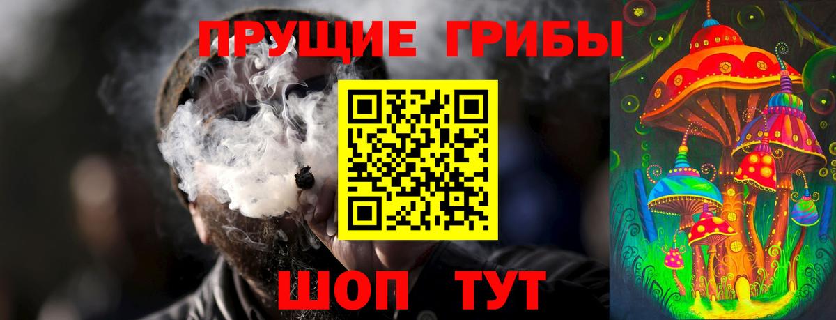 Тавда  Псилоцибиновые грибы мицелий  Вход с VPN 
